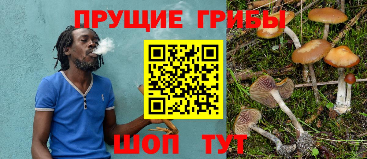 Галлюциногенные грибы GOLDEN TEACHER Кандалакша