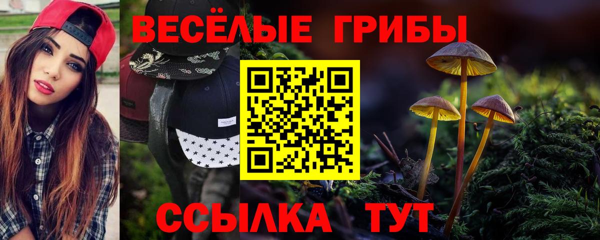 цена наркотик  Галлюциногенные грибы GOLDEN TEACHER  Вход с VPN  Кандалакша  Галлюциногенные грибы мухоморы 